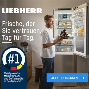 hybride-haendler_No1_einzelteaser_700x636